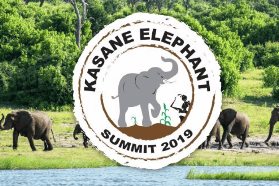 Cumbre sobre la conservación de los elefantes en Kasane