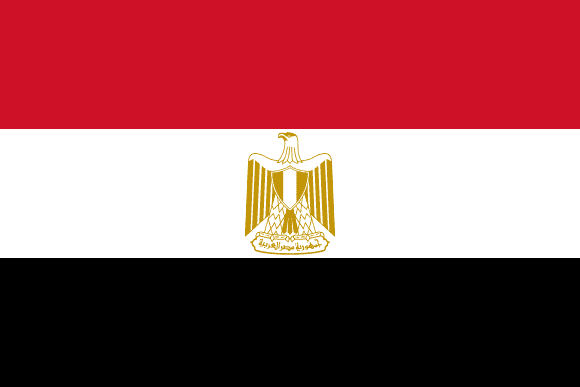 Habib al-Adly absuelto por malversación de fondos públicos en Egipto