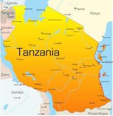 Tanzania quiere aumentar la producción de arroz a 4,5 millones de toneladas para 2030