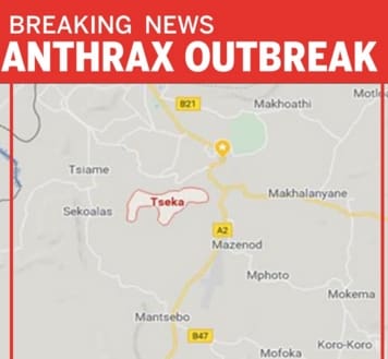 Sudáfrica prohíbe la  importación de  animales vivos , la carne y la lana de Lesotho después de un brote mortal de ántrax