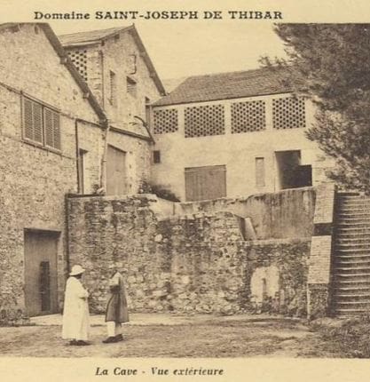 Los buenos viejos tiempos de los vinos tunecinos de Thibar