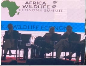 Se inaugura en Zimbabue la primera cumbre económica de la vida silvestre