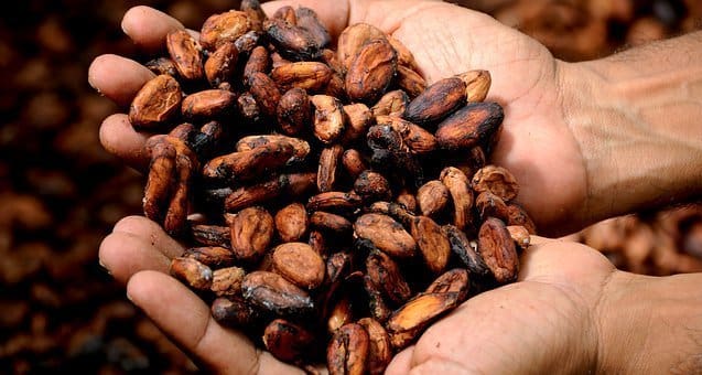 Ghana y Costa de Marfil adoptan un nuevo mecanismo de fijación de precios del cacao