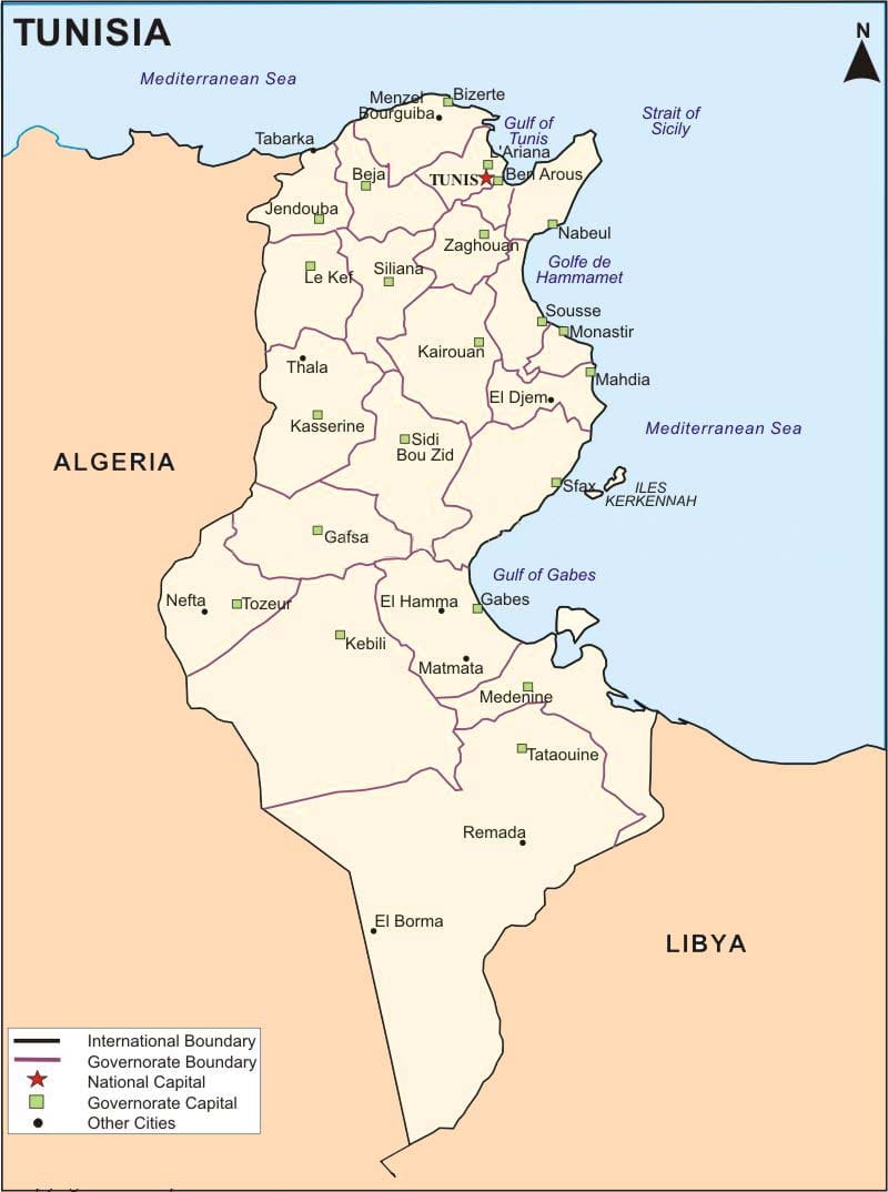 Aterrizaje de urgencia de un avión de las fuerzas libias de Haftar en Túnez