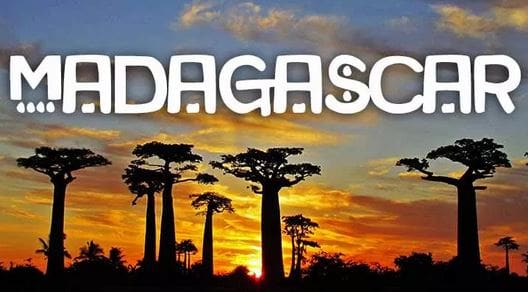Hacia una restauración de los manglares en Madagascar