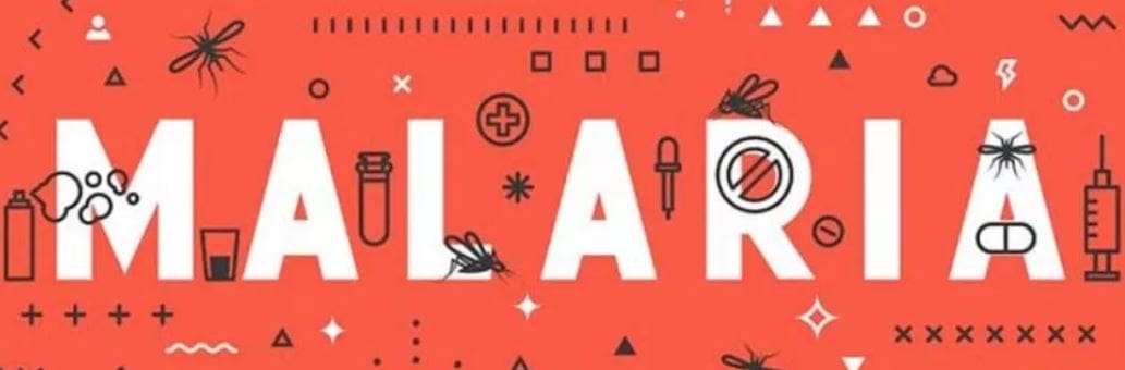 Burkina Faso lanza un importante proyecto contra la malaria