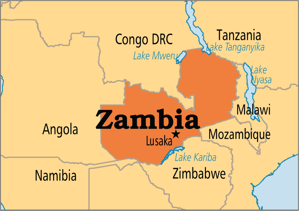 La Cámara de Comercio de Zambia insta al gobierno a ratificar el pacto comercial de África