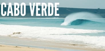 136 delfines se «suicidan» en Cabo Verde