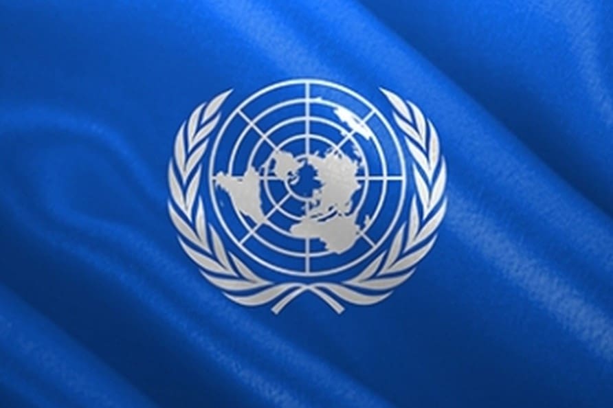 Activistas juveniles africanos se dirigen a la ONU para proponerse como la nueva fuerza para el cambio