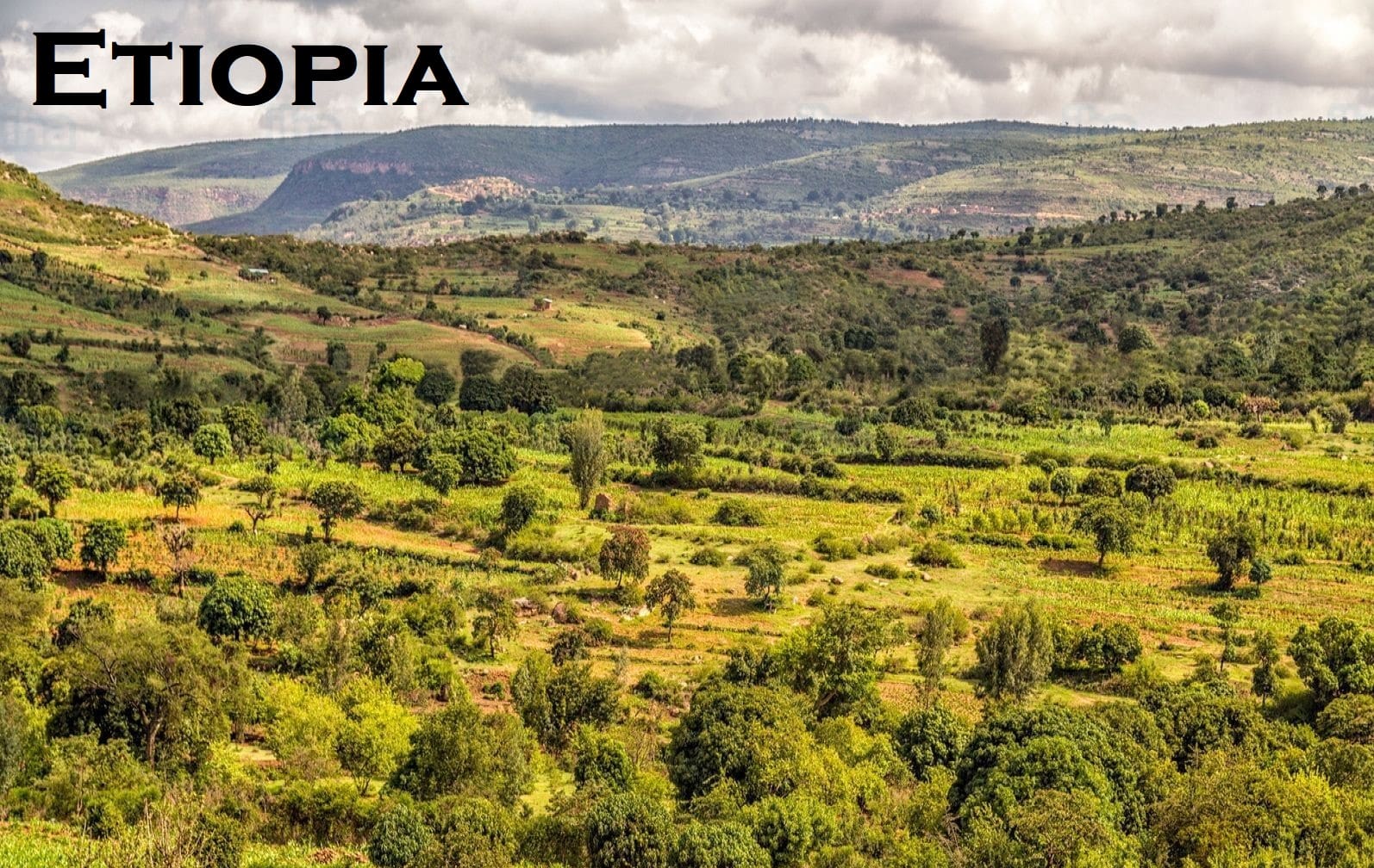 El pueblo Oromo celebra en Etiopía el festival Irreecha