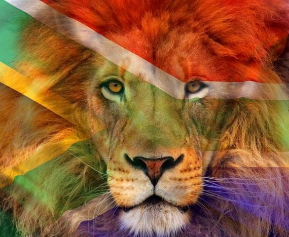 Incautados en Sudáfrica 342 kilos de osamentas de león destinados a Asia
