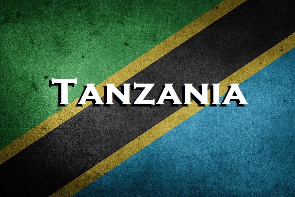 Tanzania arresta a cuatro contratistas de nacionalidad china por ‘proyectos de construcción lenta’