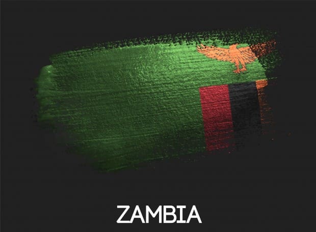 Los vehículos de servicio público en Zambia llevarán GPS
