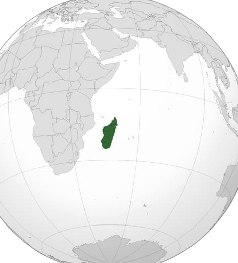 “Un cambio de comportamiento radical”, la solución para el medio ambiente en Madagascar