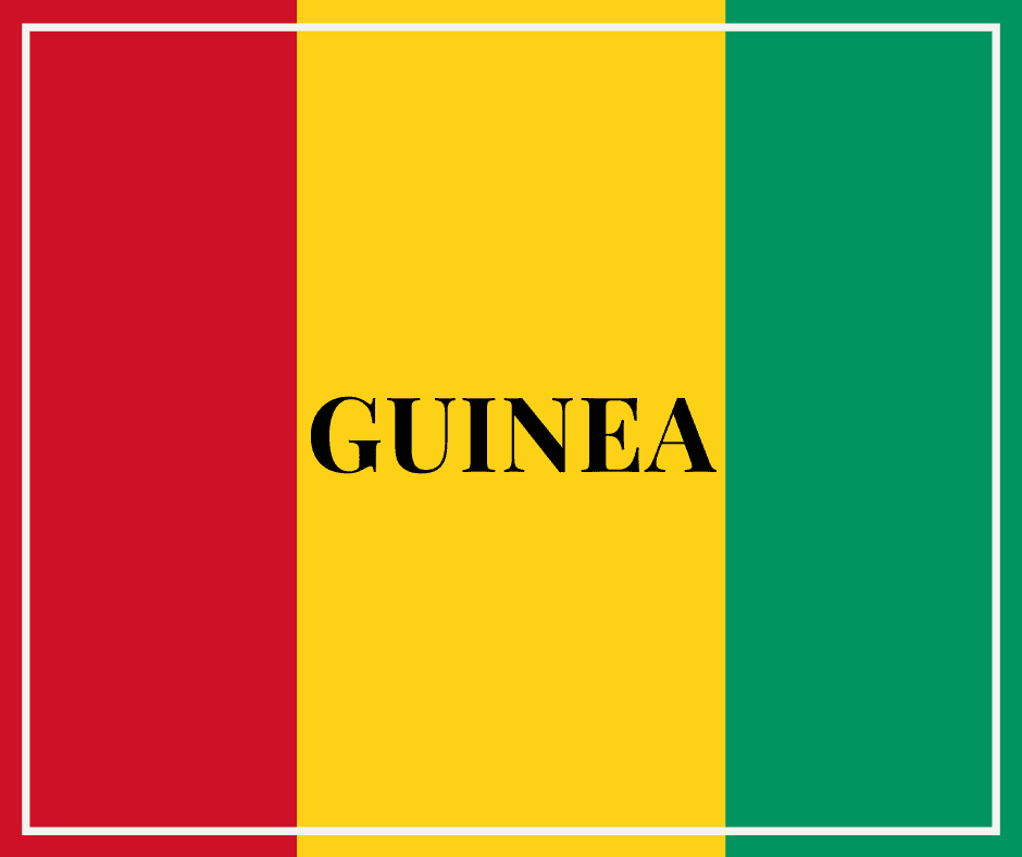 Alpha Condé increpa a sus oponentes en su campaña política por Guinea