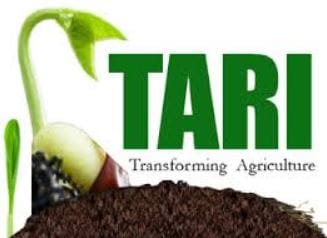 logo_tari.jpg