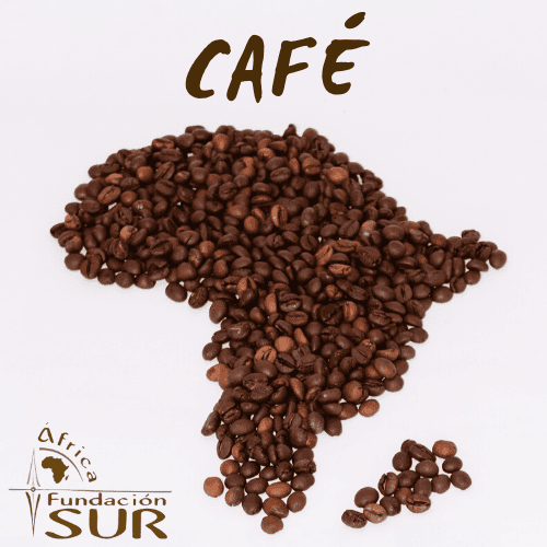 La cosecha de café de Kenia cae en picado por la bajada de precios y el aumento de las  temperaturas