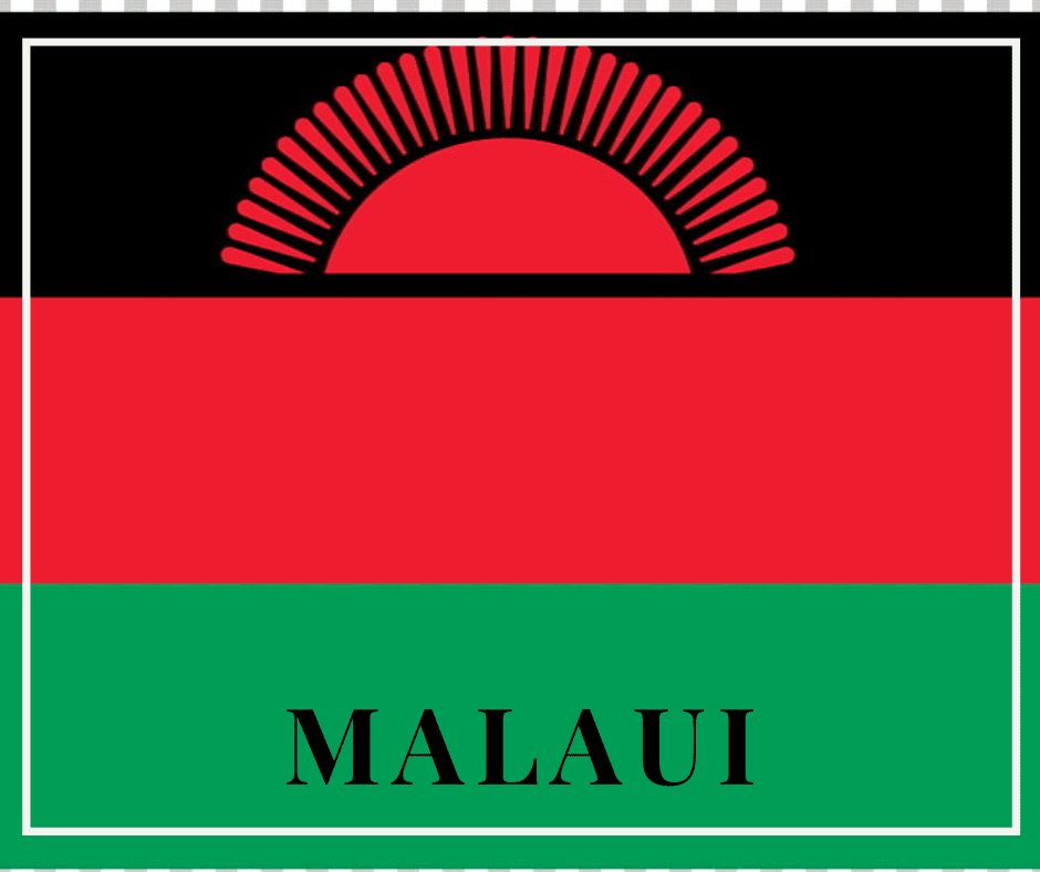Aumenta en un 153% las exportaciones de Malaui en los últimos 5 años