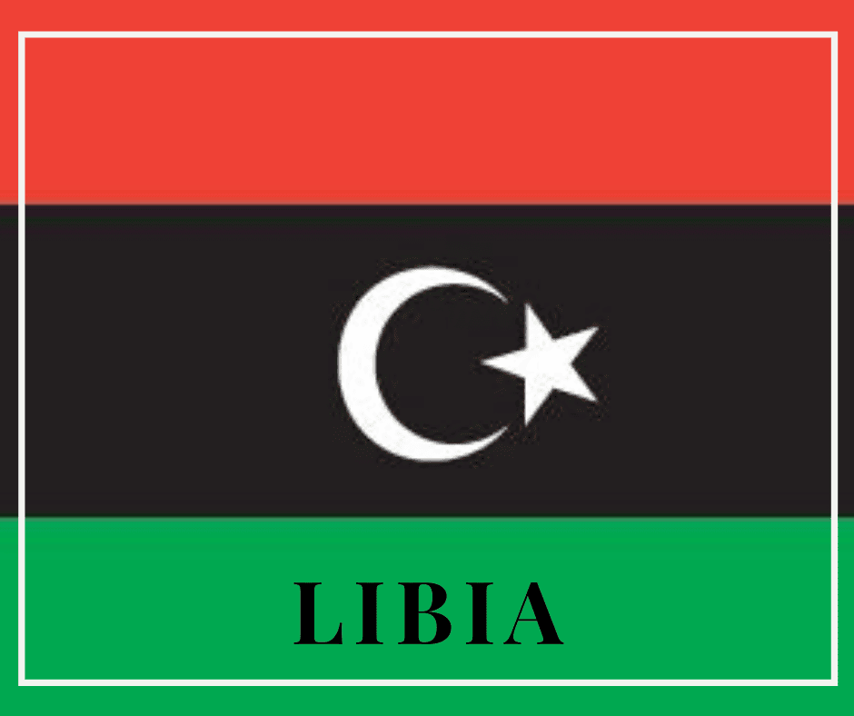 La XXXIII cumbre de la Unión Africana pidió un arreglo político y pacífico de la crisis libia de conformidad con el Acuerdo de Skhirat de 2015.