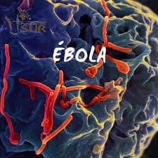 La OMS advierte que se está quedando sin dinero para hacer frente a la epidemia de ébola en la RDC