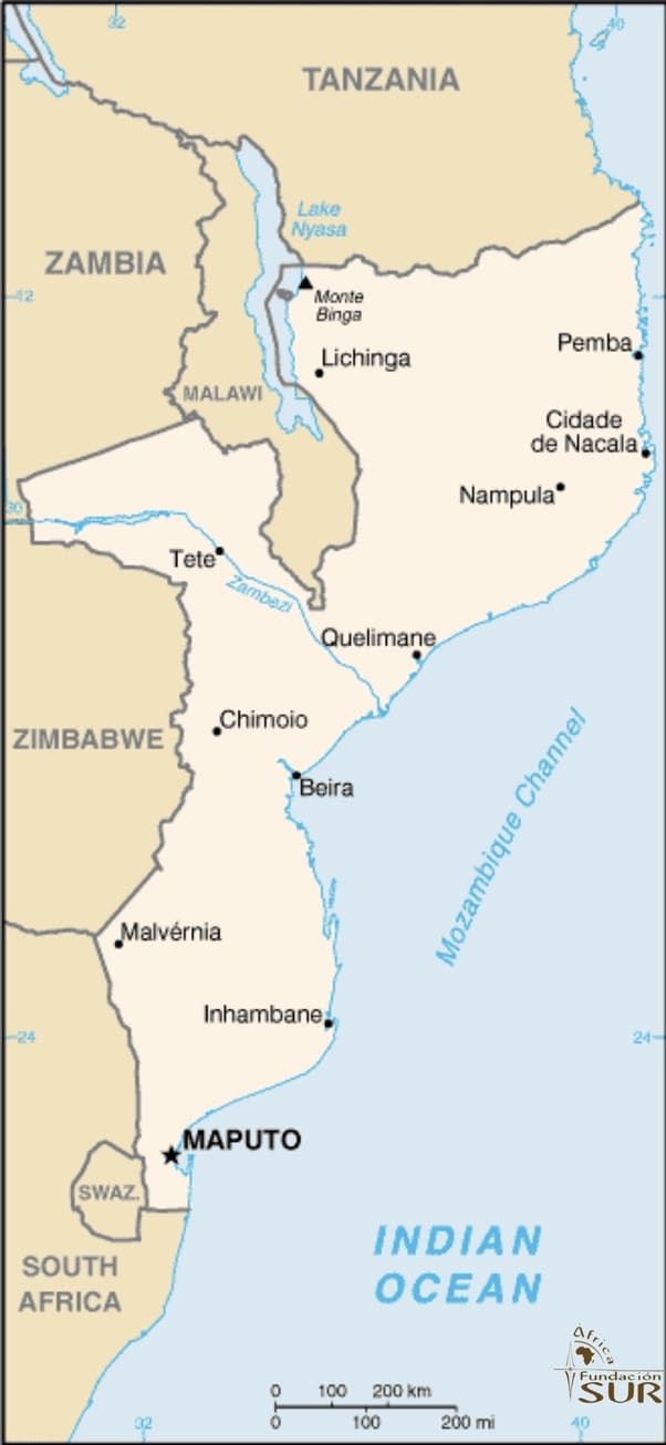 Mozambique digitaliza la información forestal