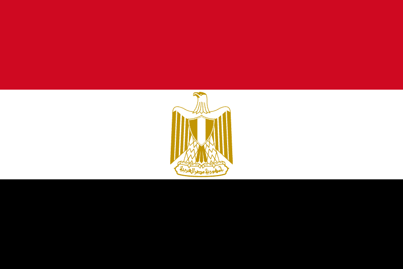 Egipto niega la propagación de enjambres de langostas en Matrouh