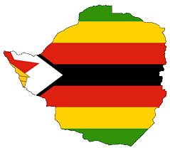 Diplomático de Zimbabue retirado del servicio en los Estados Unidos por causas judiciales