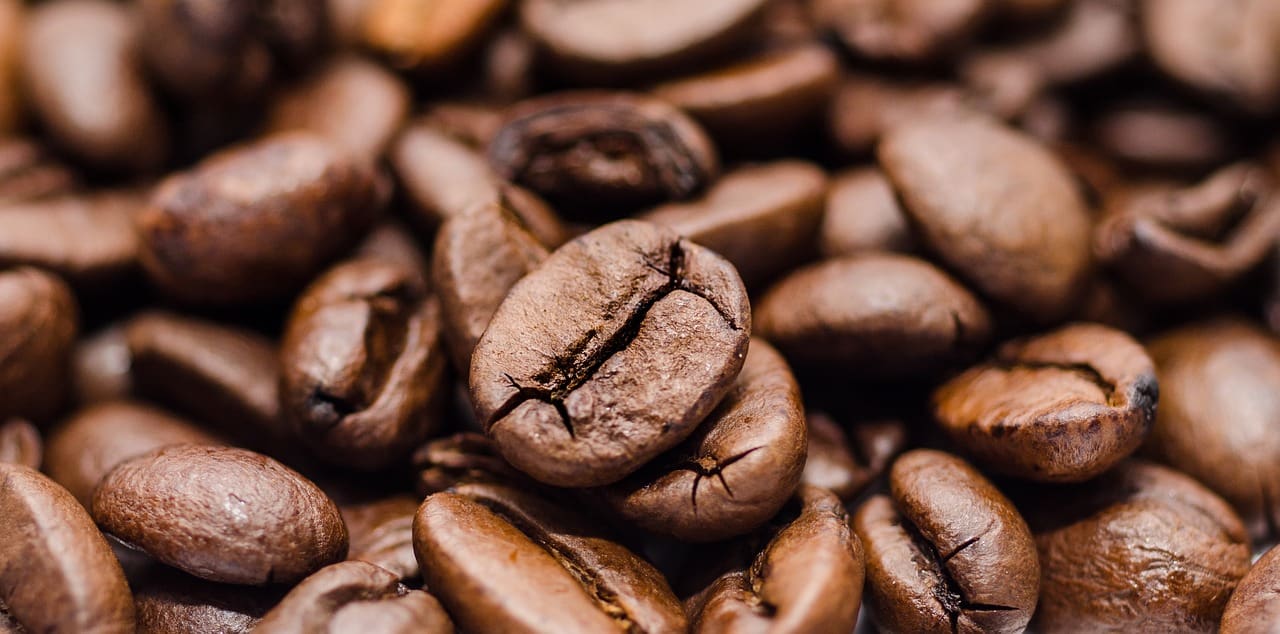 Más de 3 millones de árboles cafetales serán reemplazados en Ruanda