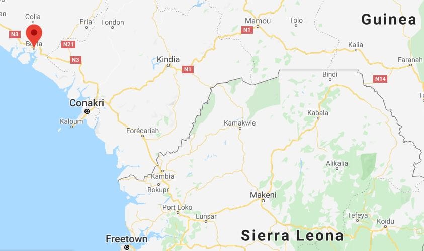 boffa_guinea.jpg