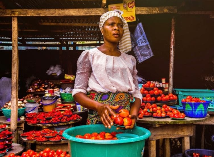 Los agricultores de Senegal incentivan el riego por goteo para el cultivo del tomate