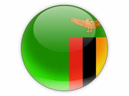 Jovenes del opositor UPND de Zambia agredidos por sus altos cargos