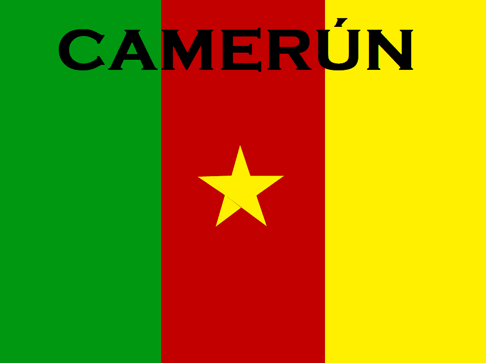 Los atentados de Boko Haram matan a siete civiles en Camerún