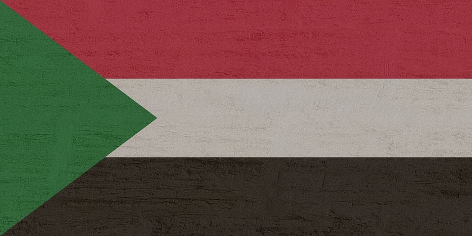 El Movimiento de Liberación del Sudán pide incluir nuevos grupos en el proceso de paz de Darfur