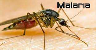 La malaria aumenta en doce distritos de Madagascar