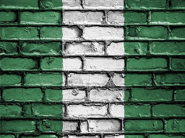 El ejército nigeriano abate a varios líderes de Boko Haram
