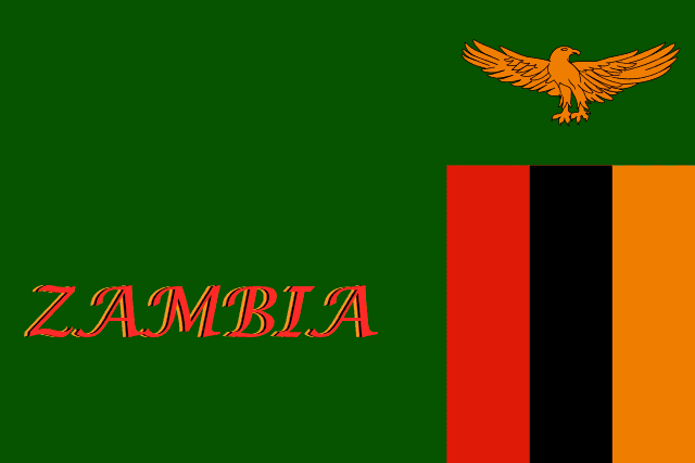 La Comisión de Derechos Humanos de Zambia denuncia el aumento del número de trabajadores de la salud infectados por COVID-19