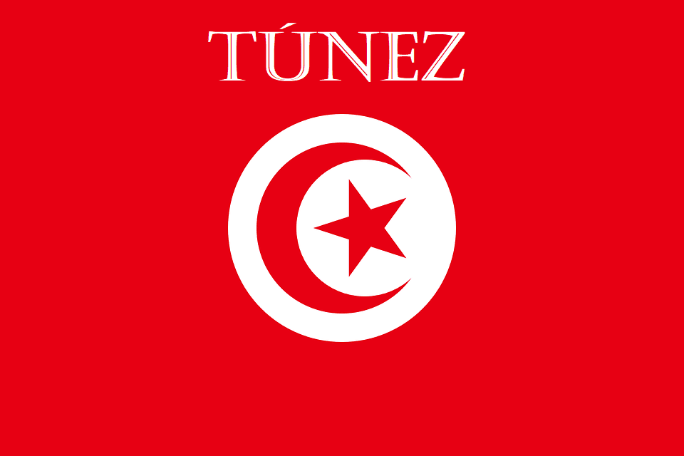 Túnez y Reino Unido discuten la crisis de Libia