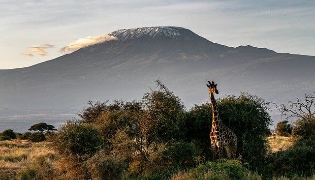 Kenia prohíbe los productos plásticos de un solo uso en áreas protegidas