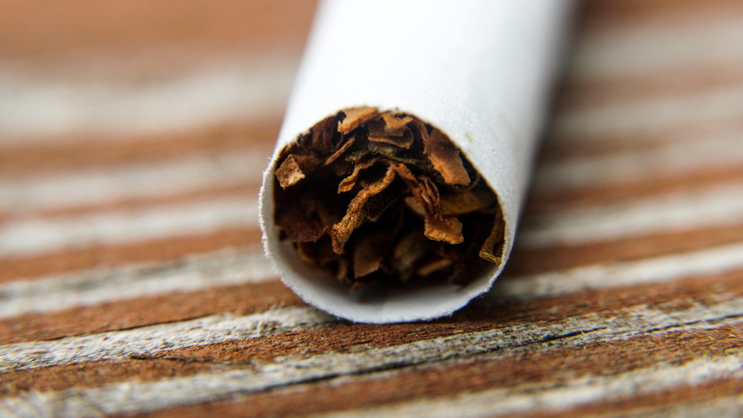 Comienzan los preparativos para la temporada de tabaco en Zimbabue