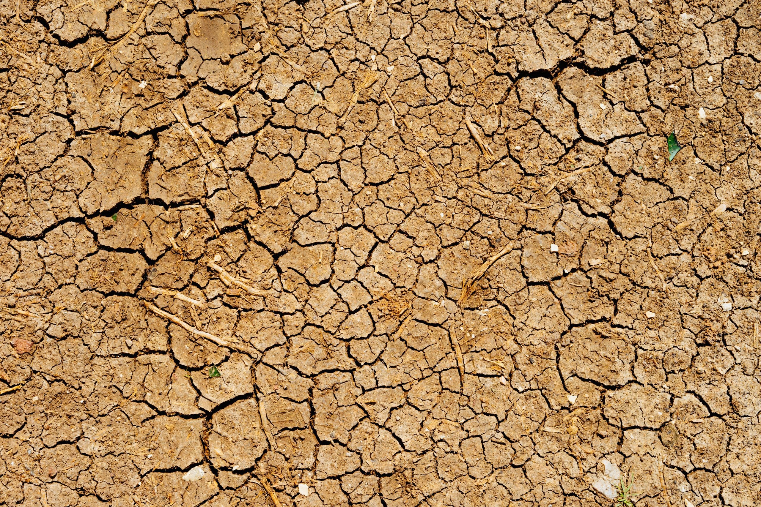 La crisis del agua afecta a aldeanos y pastores al sur de Mudug