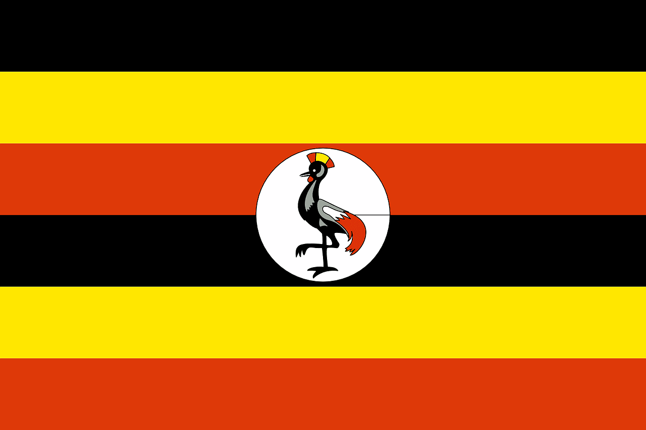 Elecciones primarias en Uganda y violencia política