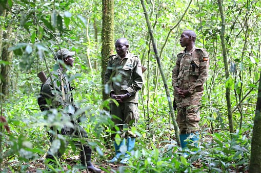 Uganda busca a más de 200 prisioneros fugados, desnudos y armados