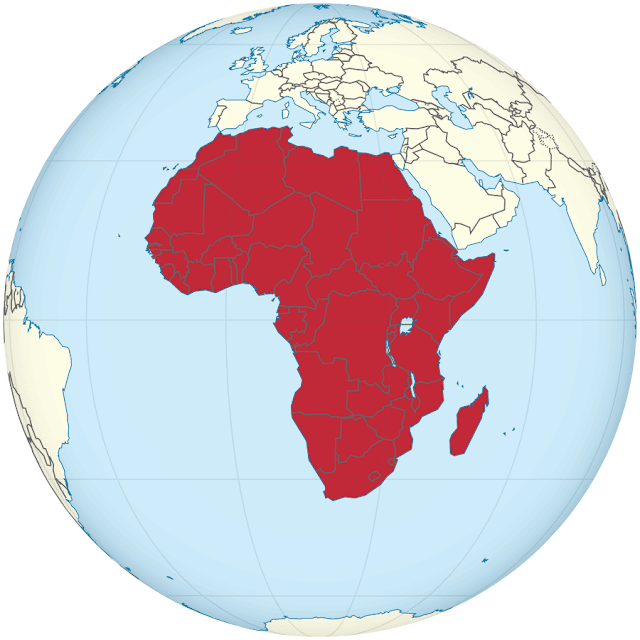 2020: lo que dejó en África, por Omer Freixa