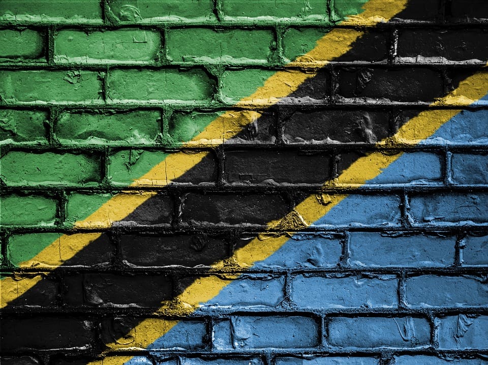 El presidente de Tanzania opta por remedios naturales para la covid-19