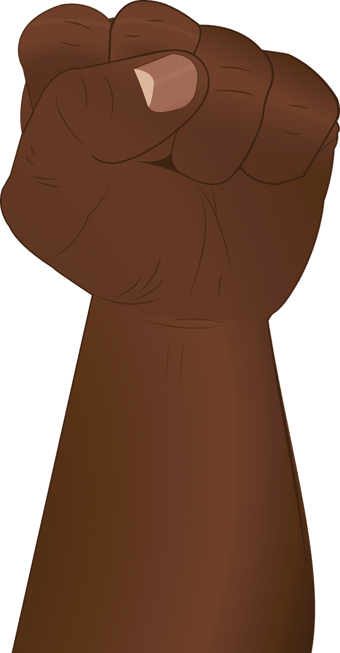 fist-1741100_1280.png