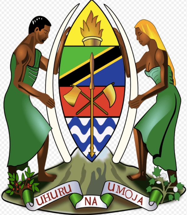 Un colegio de educación especial de Tanzania pide auxilio