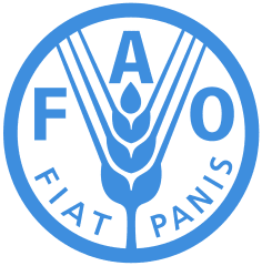 Mozambique recibirá el apoyo de la FAO para combatir la pesca ilegal