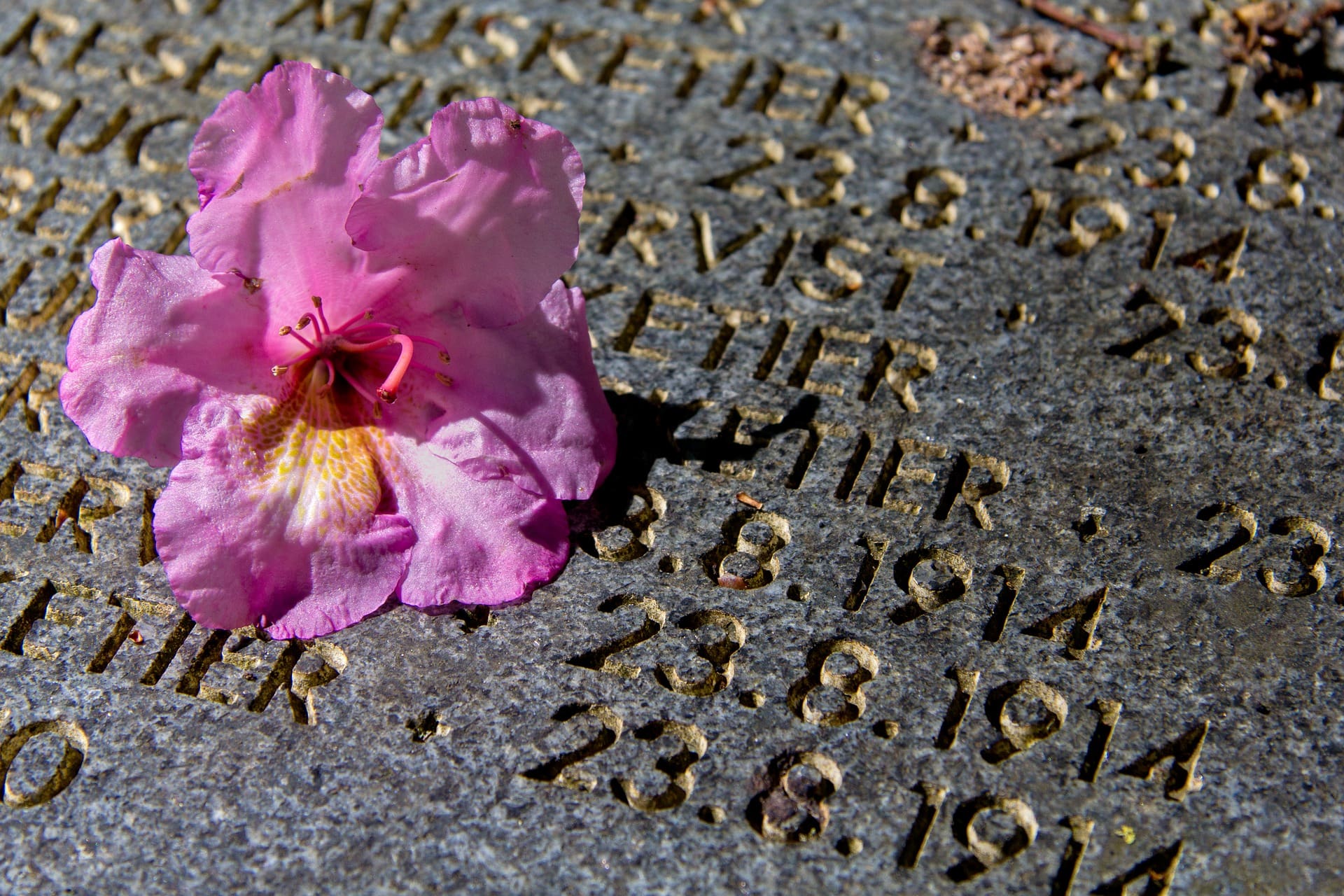grave-1876152_1920.jpg