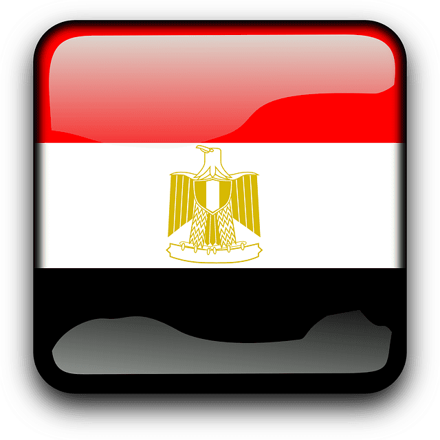 Egipto pide convocar una reunión urgente del Consejo de Seguridad para abordar la cuestión de la Gran Presa del Renacimiento