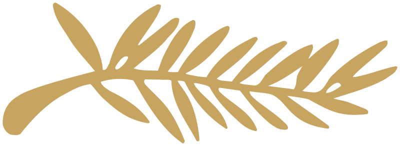 El director egipcio Omar al-Zuhairy se hace con el gran premio en la Semana de la Crítica del Festival de Cannes